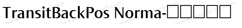 TransitBackPos Norma字体转换